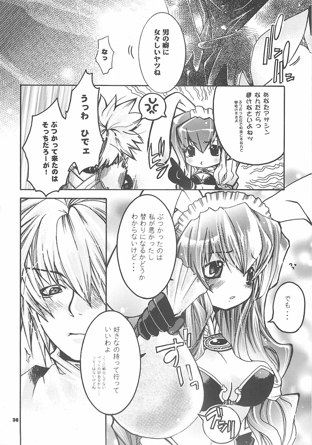 [SEINANSEINI KAGAYAKERUNOHOSHI] Yawa kore. (Ragnarok Online) page 35 full