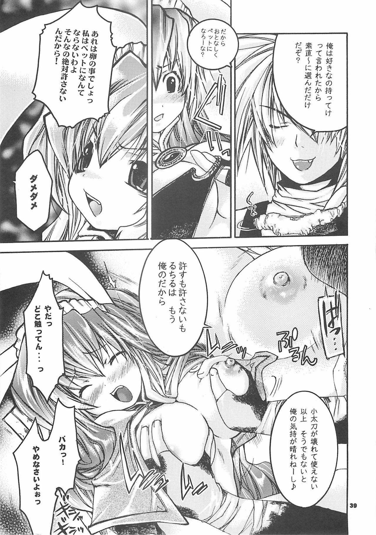 [SEINANSEINI KAGAYAKERUNOHOSHI] Yawa kore. (Ragnarok Online) page 38 full