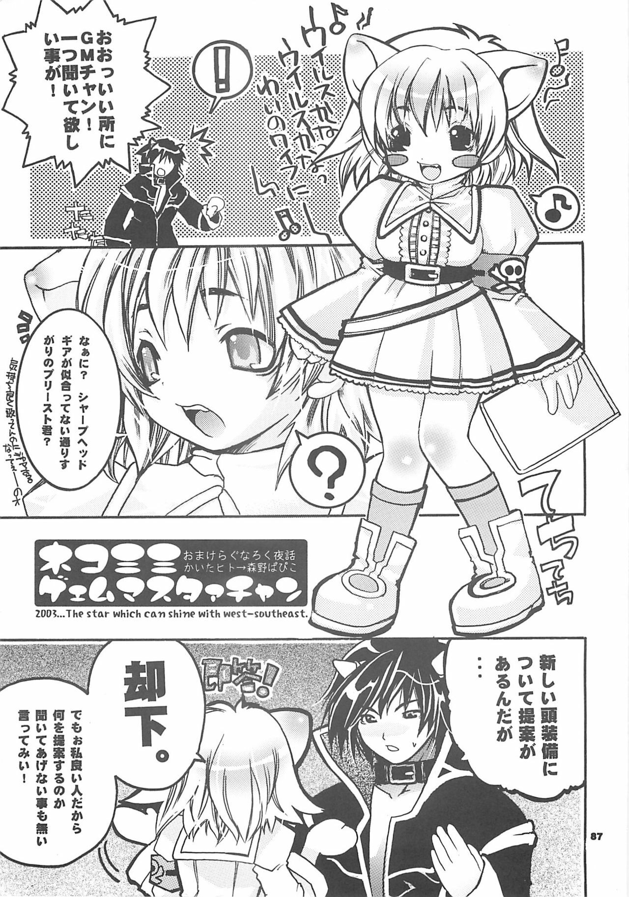 [SEINANSEINI KAGAYAKERUNOHOSHI] Yawa kore. (Ragnarok Online) page 86 full