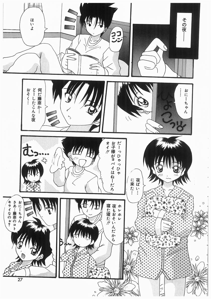 [Kawamoto Yoshiki] Awahime Rhapsody page 27 full