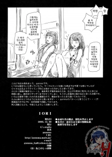 (C69) [G's Studio (Kisaragi Gunma)] IORI (Is) [Korean] - page 25