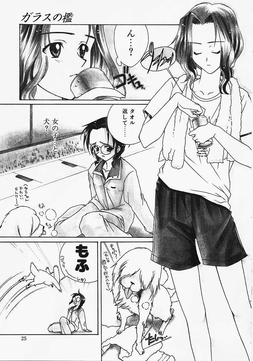 [Naruse Hirofumi] Glass no Tobira - A Door of Glass page 23 full