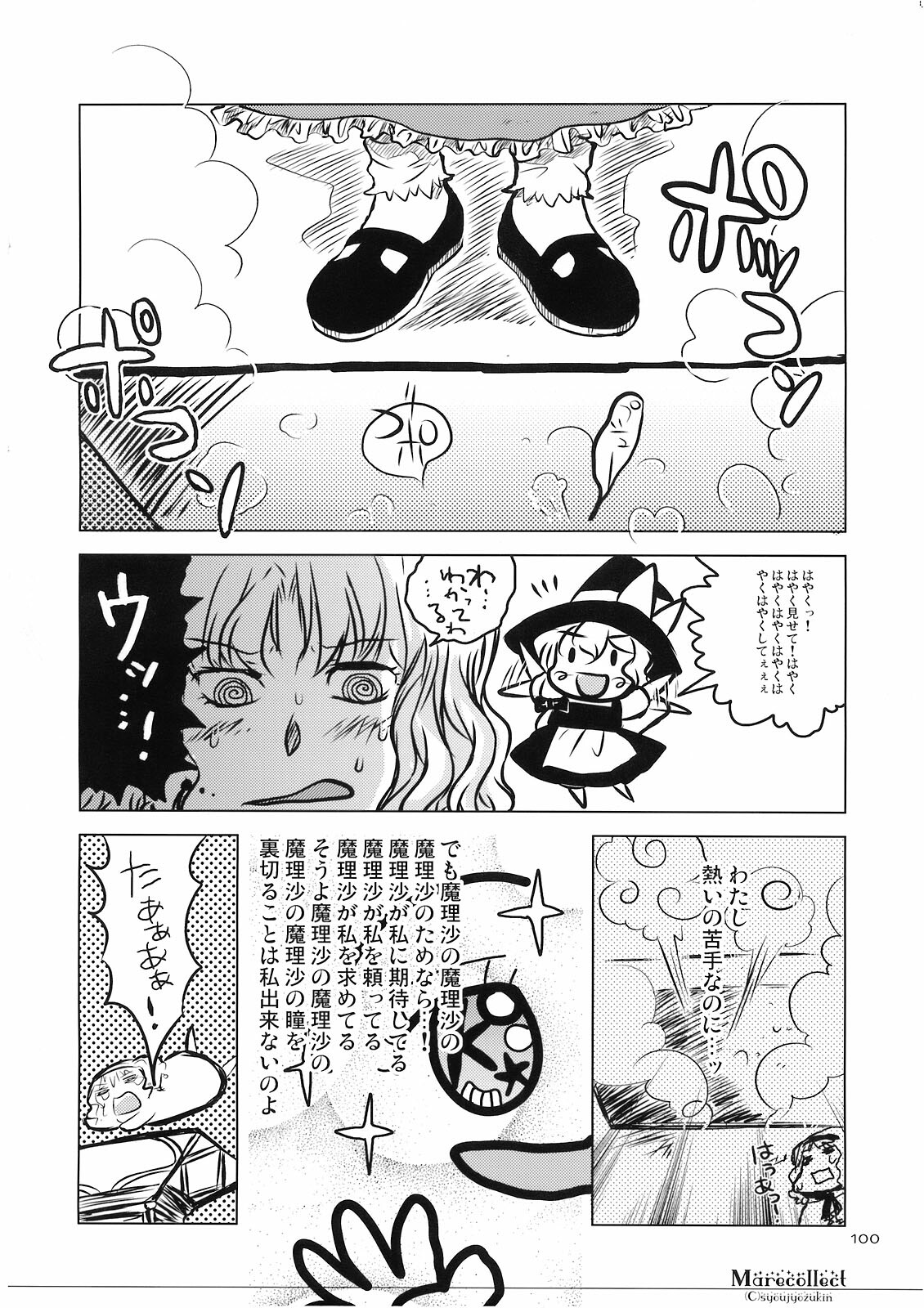 (C74) [Shoujo Zukin (Hatomugi Munmun)] Marecollect (Touhou Project) page 100 full