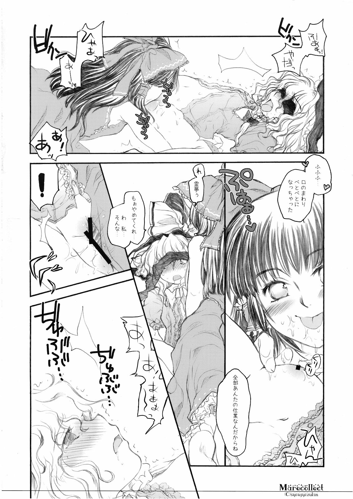 (C74) [Shoujo Zukin (Hatomugi Munmun)] Marecollect (Touhou Project) page 48 full