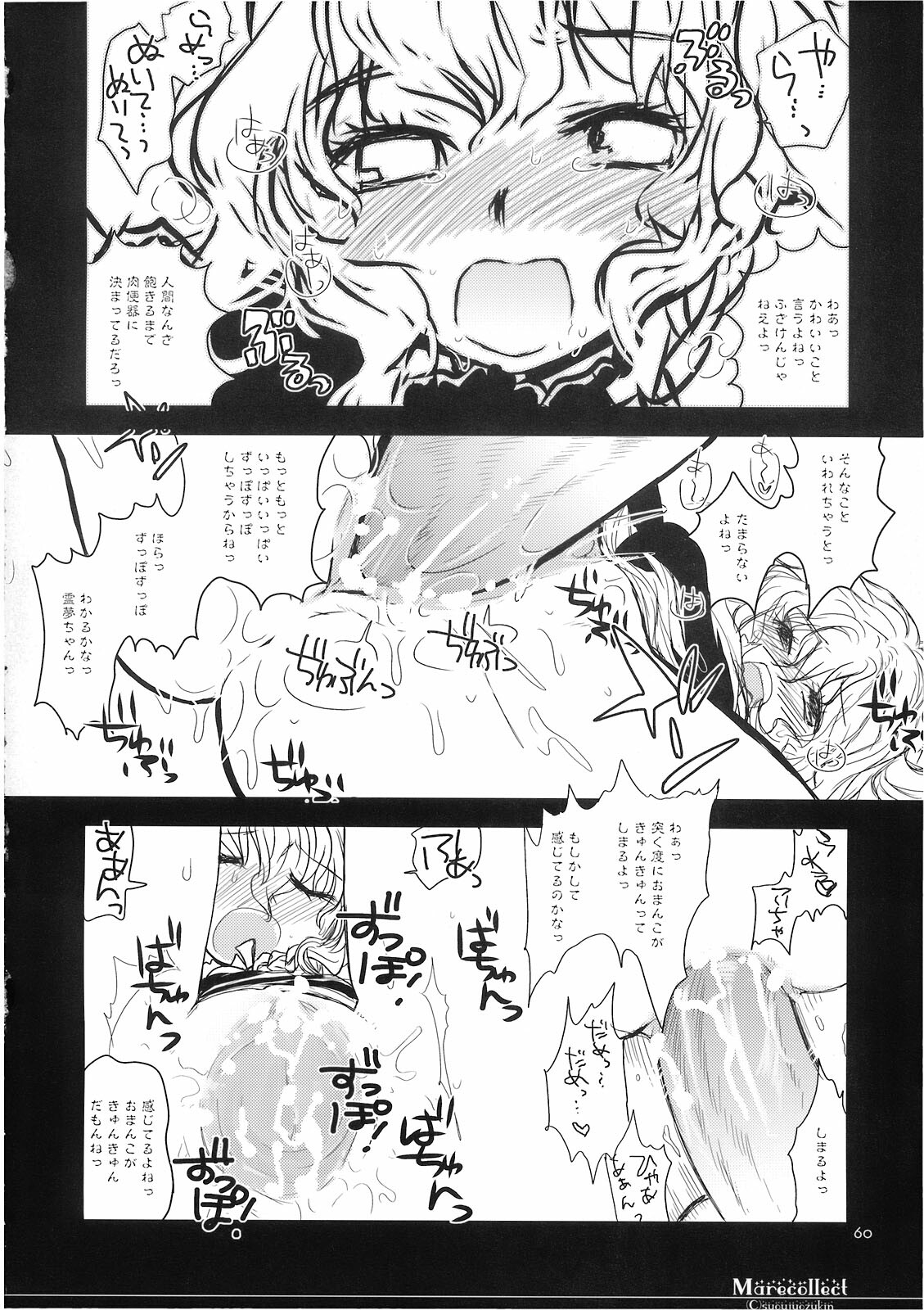 (C74) [Shoujo Zukin (Hatomugi Munmun)] Marecollect (Touhou Project) page 60 full