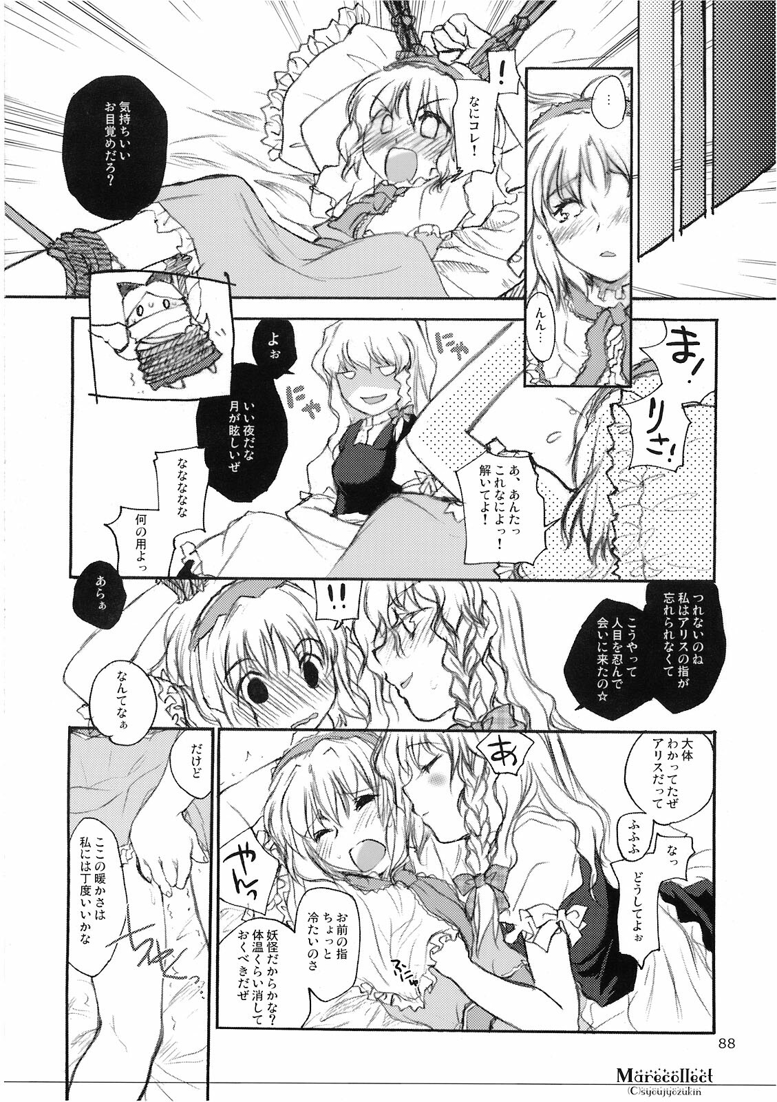 (C74) [Shoujo Zukin (Hatomugi Munmun)] Marecollect (Touhou Project) page 88 full