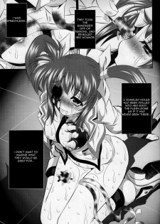 (C77) [Yuugai Tosho Kikaku (Tanaka Naburu)] Goumon Kan Nappa hen | Rape Leaves (Mahou Shoujo Lyrical Nanoha) [English] [=Torwyn=] - page 11