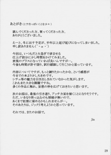 (C74) [MTSP (Jin)] Tohsaka-ke no Kakei Jijou 4 (Fate/stay night) [Chinese] - page 29