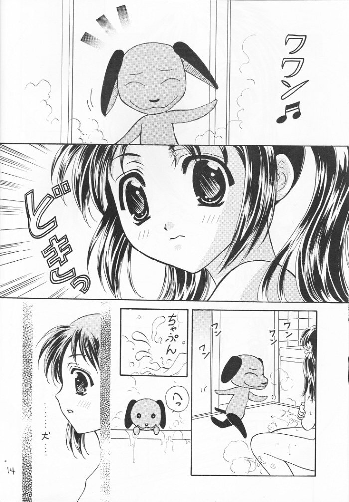 (C57) [Takara no Suzunari (Kouno Yukiyo)] Mado no Tomo 3 gou (With You ~Mitsumete Itai~) page 14 full