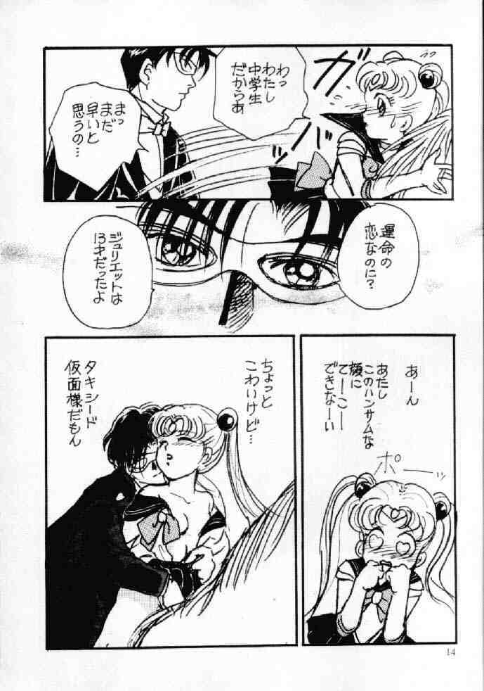 (C42) [Usamaru Brand (Usamaru Momoko)] Ecchi Adult (Bishoujo Senshi Sailor Moon) page 13 full