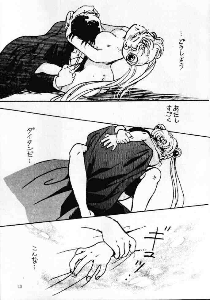 (C42) [Usamaru Brand (Usamaru Momoko)] Ecchi Adult (Bishoujo Senshi Sailor Moon) page 14 full