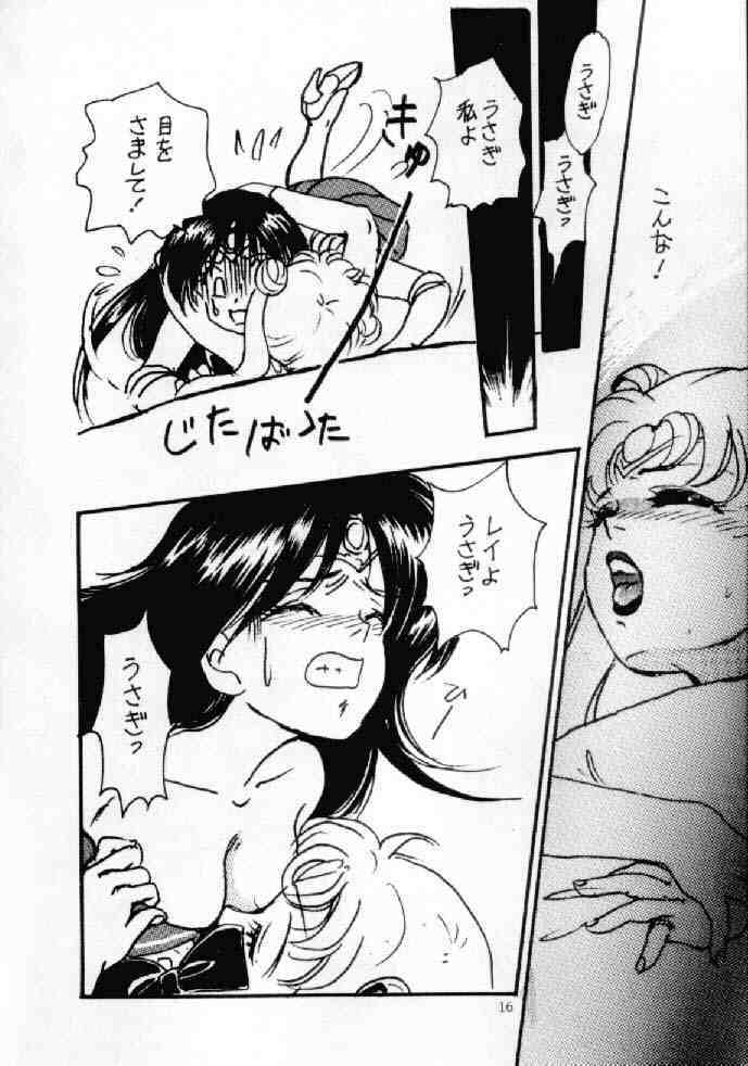 (C42) [Usamaru Brand (Usamaru Momoko)] Ecchi Adult (Bishoujo Senshi Sailor Moon) page 15 full