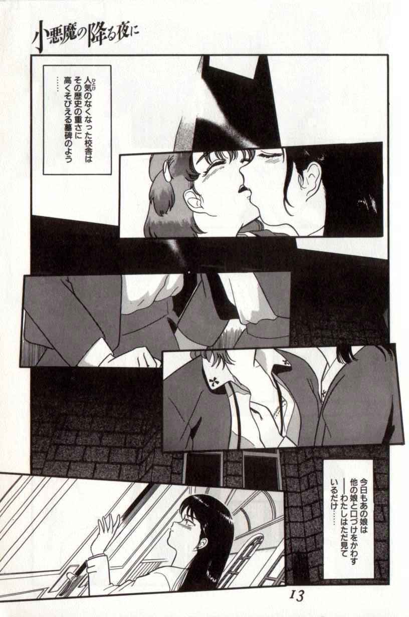 [Tomiaki Yuu] Koakuma no Furu Yoru ni page 13 full