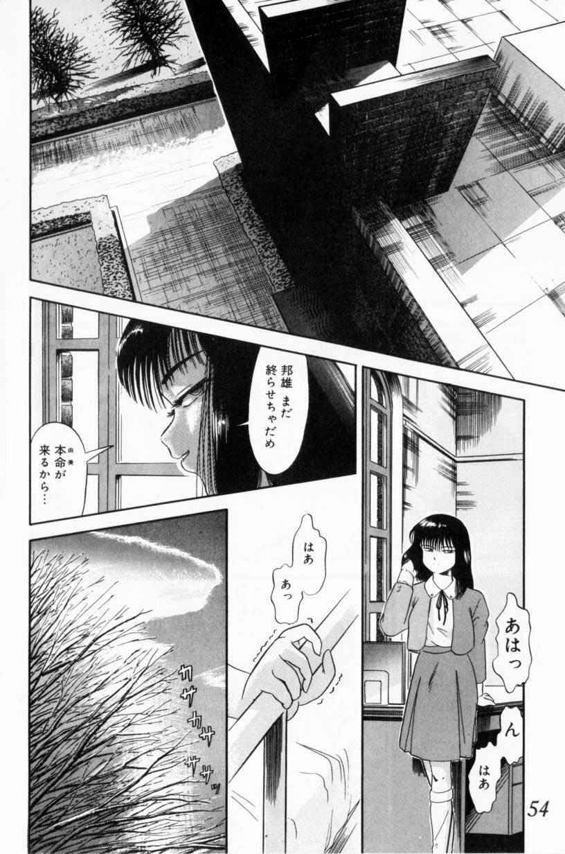 [Tomiaki Yuu] Koakuma no Furu Yoru ni page 54 full