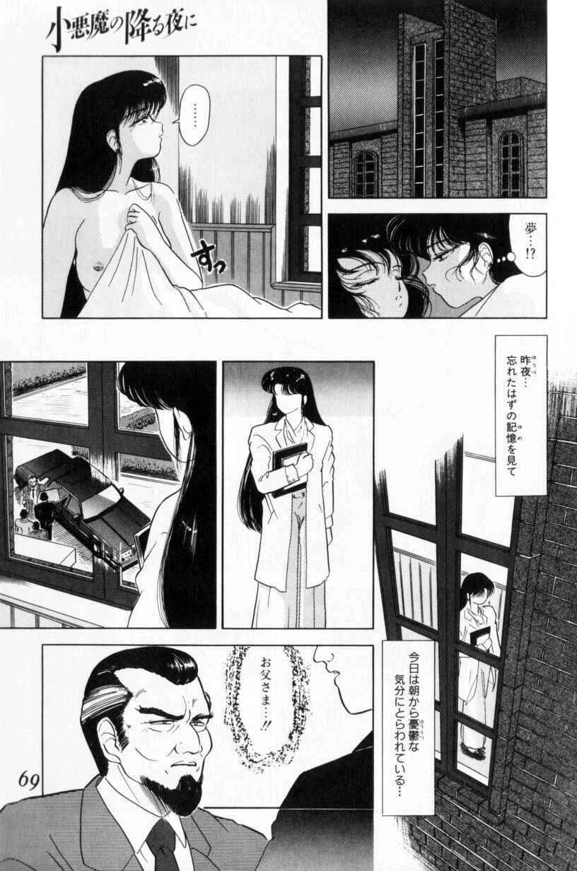 [Tomiaki Yuu] Koakuma no Furu Yoru ni page 69 full