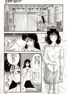 [Tomiaki Yuu] Koakuma no Furu Yoru ni - page 17