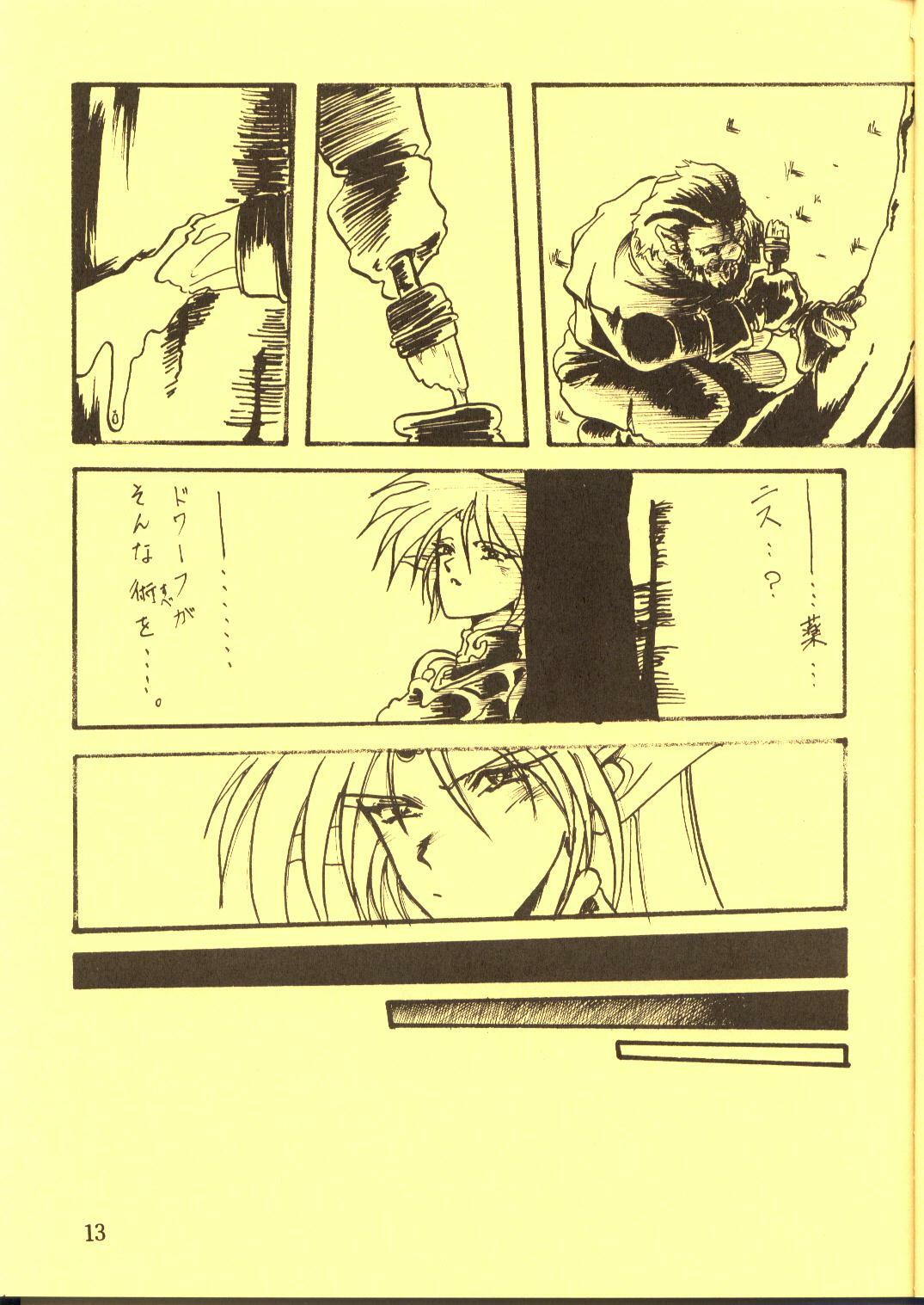 [Waku Waku Doubutsuen, Neko Apron (Various)] DIEDLIT 2 (Record of Lodoss War) page 12 full