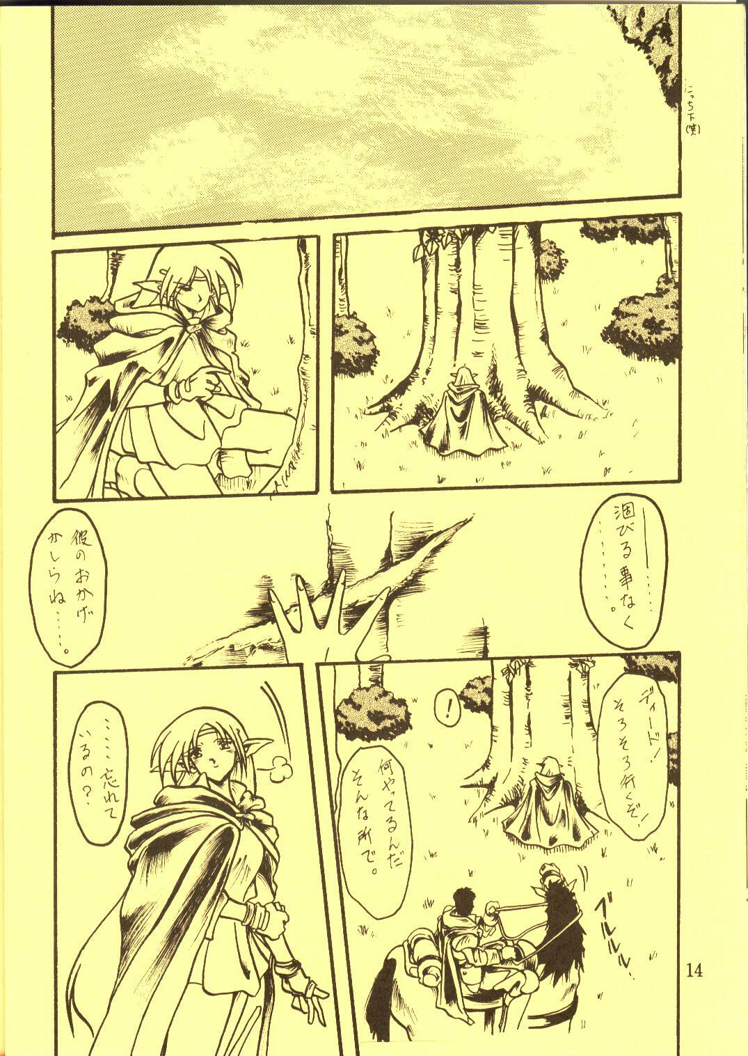 [Waku Waku Doubutsuen, Neko Apron (Various)] DIEDLIT 2 (Record of Lodoss War) page 13 full