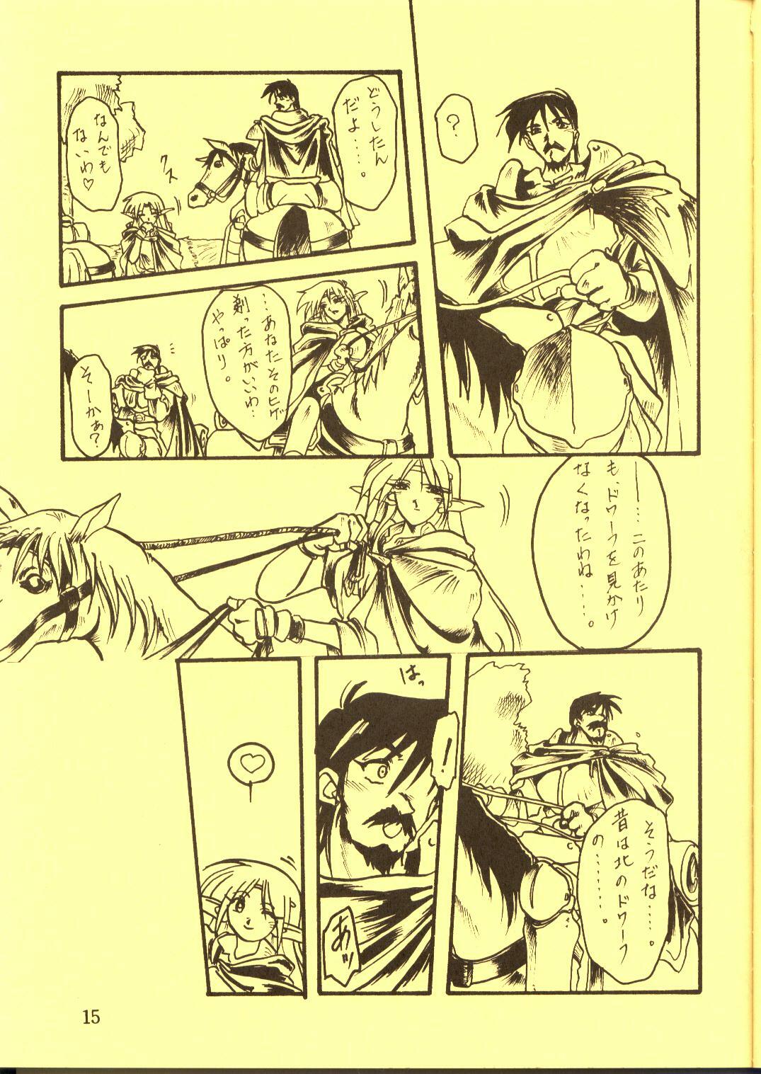 [Waku Waku Doubutsuen, Neko Apron (Various)] DIEDLIT 2 (Record of Lodoss War) page 14 full