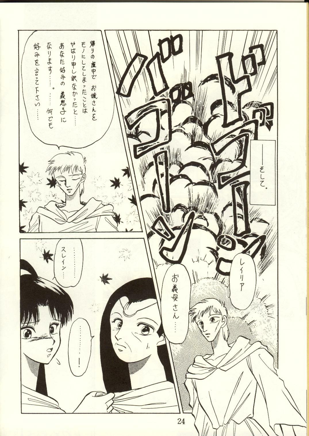 [Waku Waku Doubutsuen, Neko Apron (Various)] DIEDLIT 2 (Record of Lodoss War) page 23 full