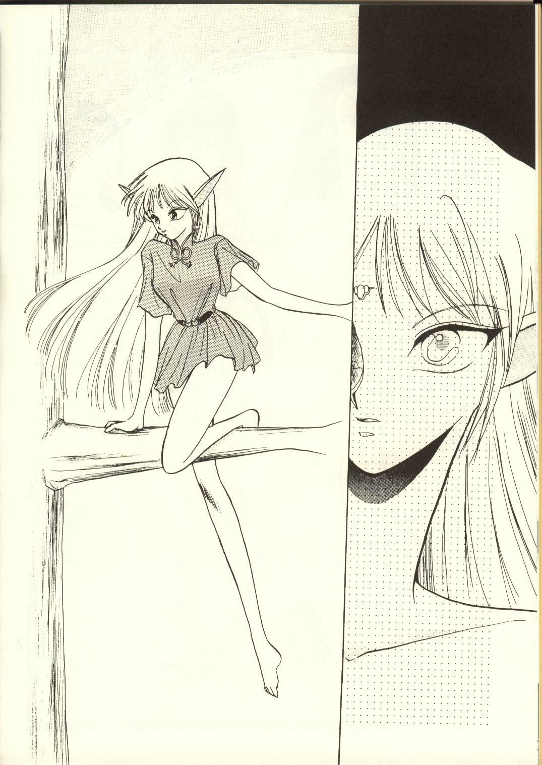 [Waku Waku Doubutsuen, Neko Apron (Various)] DIEDLIT 2 (Record of Lodoss War) page 25 full