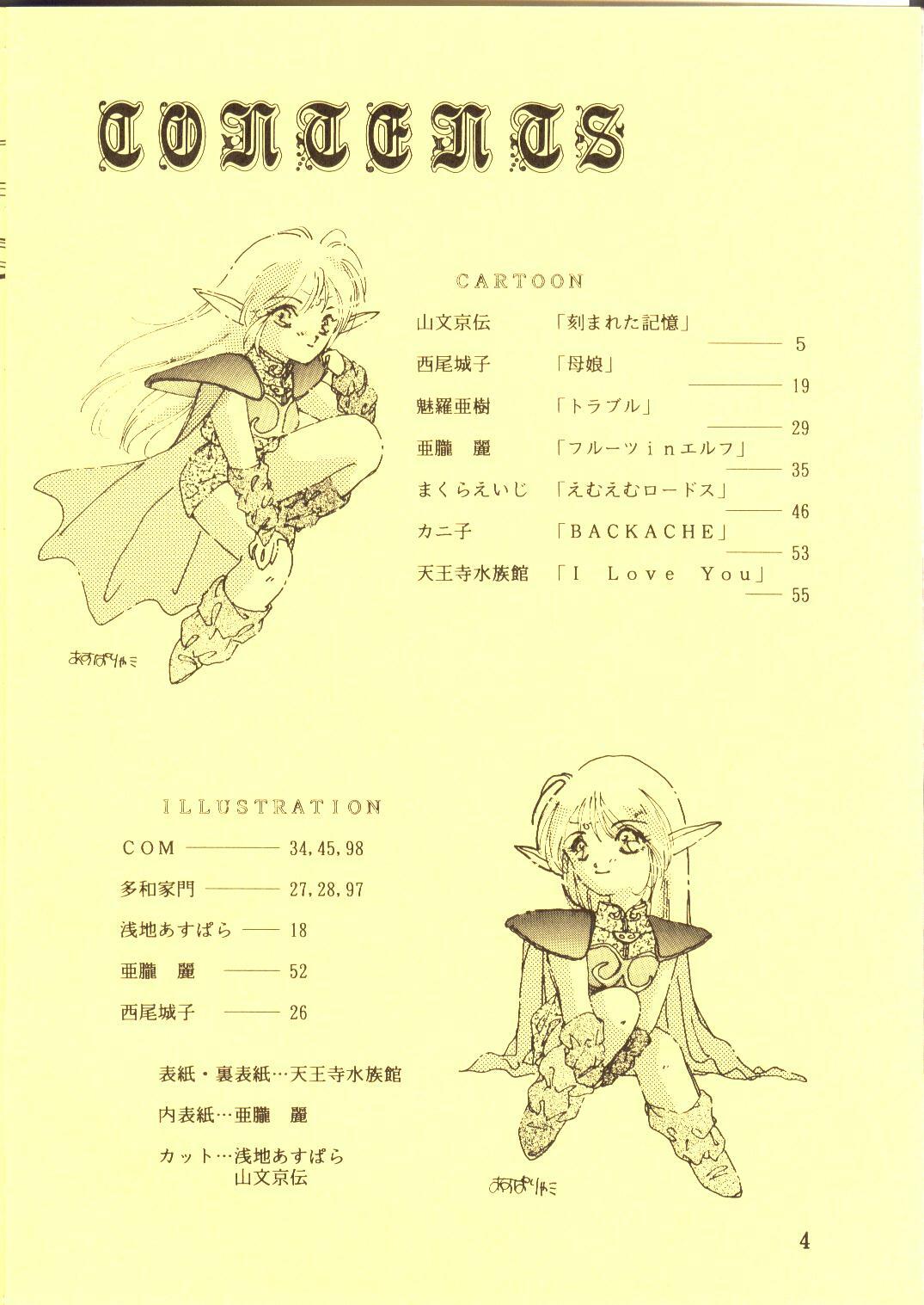 [Waku Waku Doubutsuen, Neko Apron (Various)] DIEDLIT 2 (Record of Lodoss War) page 3 full