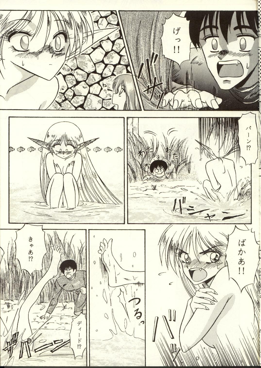 [Waku Waku Doubutsuen, Neko Apron (Various)] DIEDLIT 2 (Record of Lodoss War) page 30 full