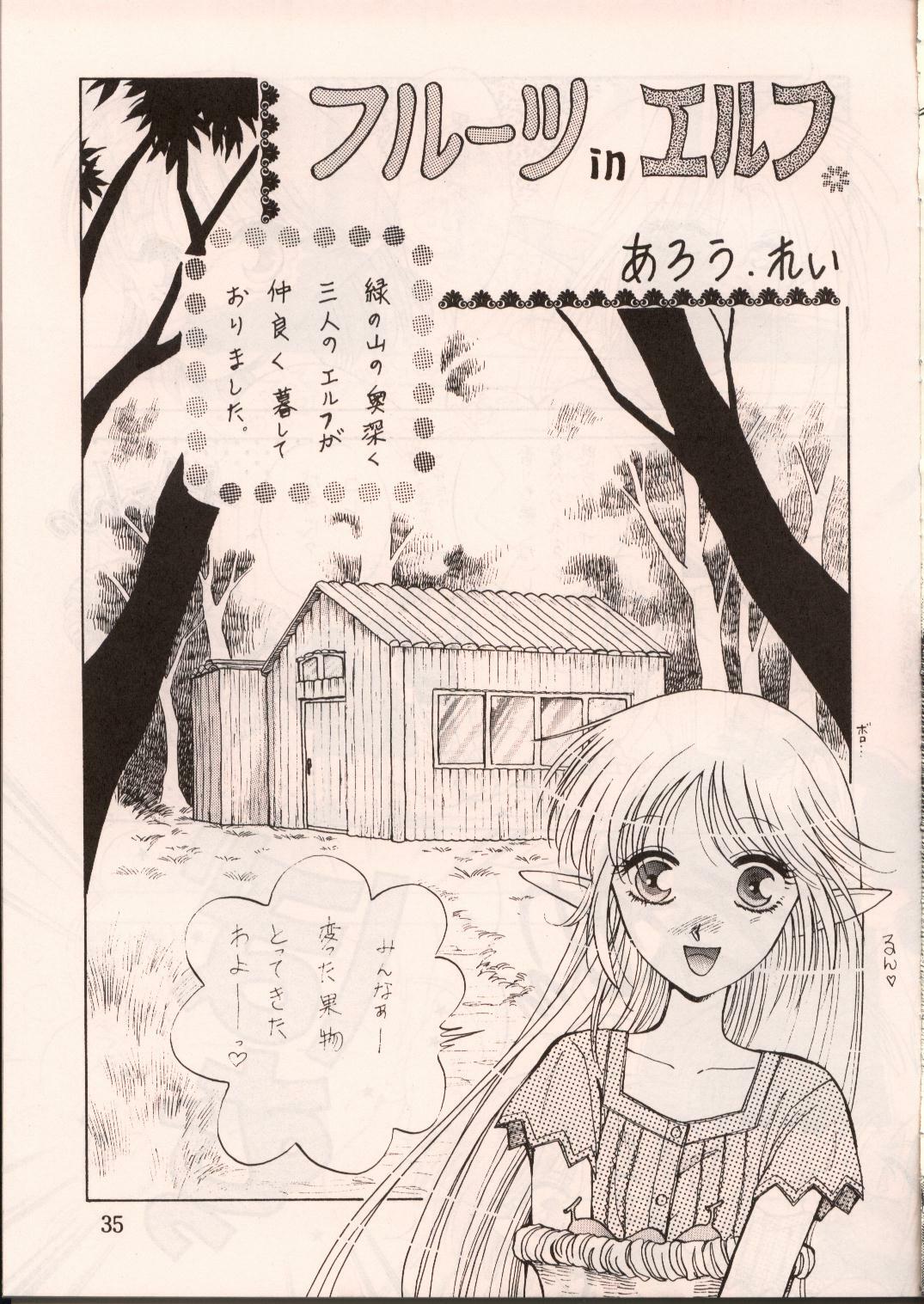 [Waku Waku Doubutsuen, Neko Apron (Various)] DIEDLIT 2 (Record of Lodoss War) page 34 full