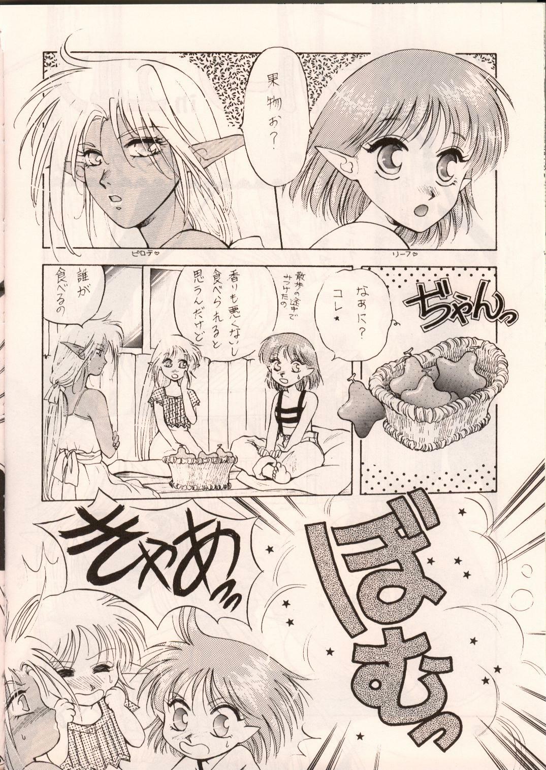 [Waku Waku Doubutsuen, Neko Apron (Various)] DIEDLIT 2 (Record of Lodoss War) page 35 full