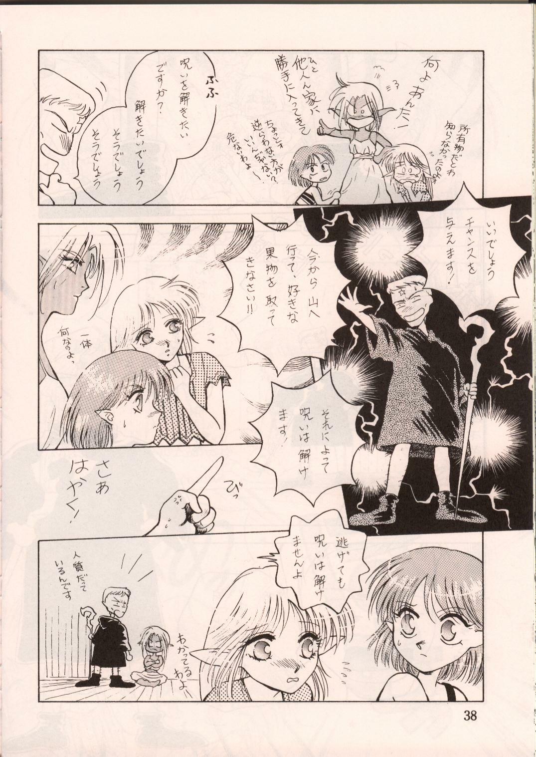 [Waku Waku Doubutsuen, Neko Apron (Various)] DIEDLIT 2 (Record of Lodoss War) page 37 full