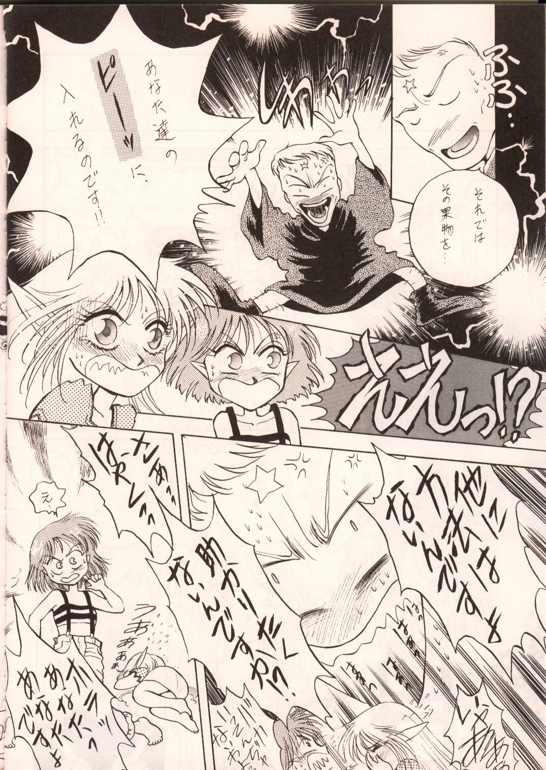 [Waku Waku Doubutsuen, Neko Apron (Various)] DIEDLIT 2 (Record of Lodoss War) page 39 full