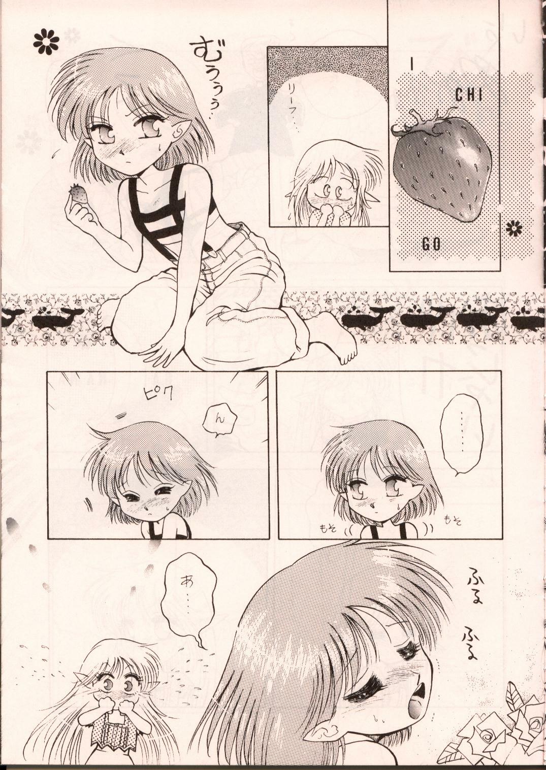 [Waku Waku Doubutsuen, Neko Apron (Various)] DIEDLIT 2 (Record of Lodoss War) page 40 full