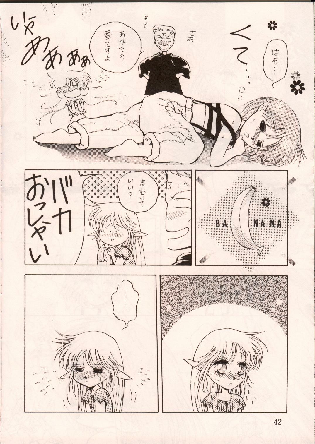 [Waku Waku Doubutsuen, Neko Apron (Various)] DIEDLIT 2 (Record of Lodoss War) page 41 full