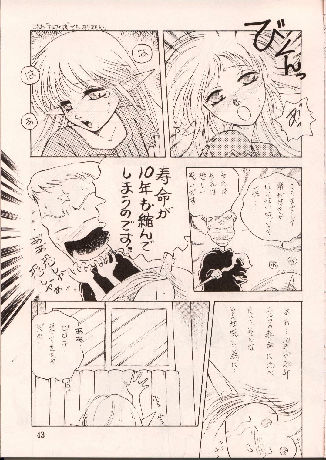 [Waku Waku Doubutsuen, Neko Apron (Various)] DIEDLIT 2 (Record of Lodoss War) page 42 full