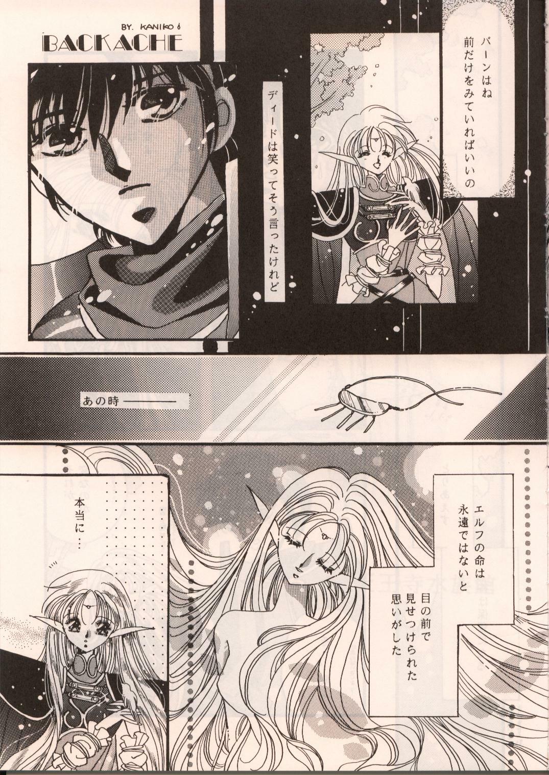 [Waku Waku Doubutsuen, Neko Apron (Various)] DIEDLIT 2 (Record of Lodoss War) page 52 full