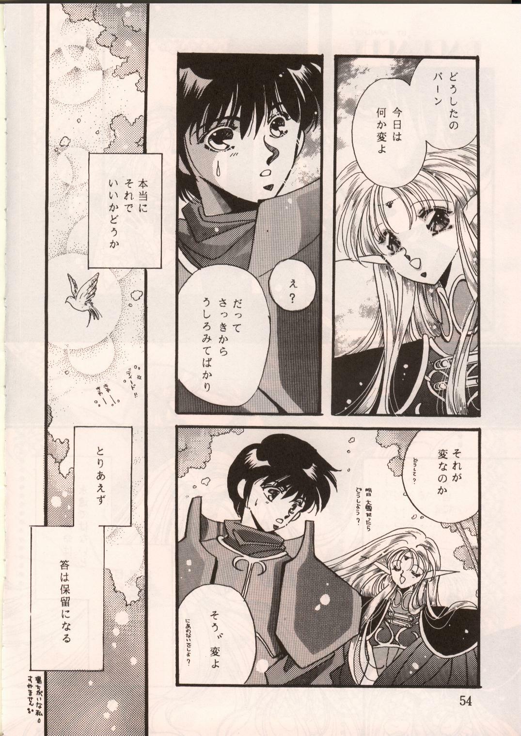 [Waku Waku Doubutsuen, Neko Apron (Various)] DIEDLIT 2 (Record of Lodoss War) page 53 full