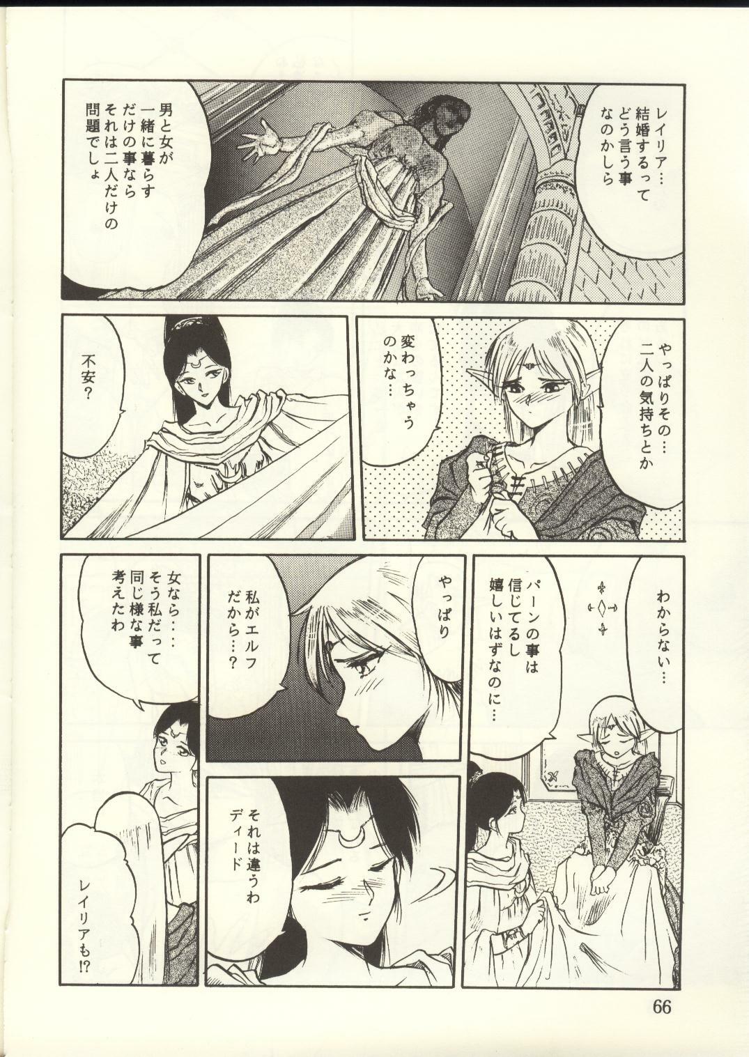 [Waku Waku Doubutsuen, Neko Apron (Various)] DIEDLIT 2 (Record of Lodoss War) page 65 full