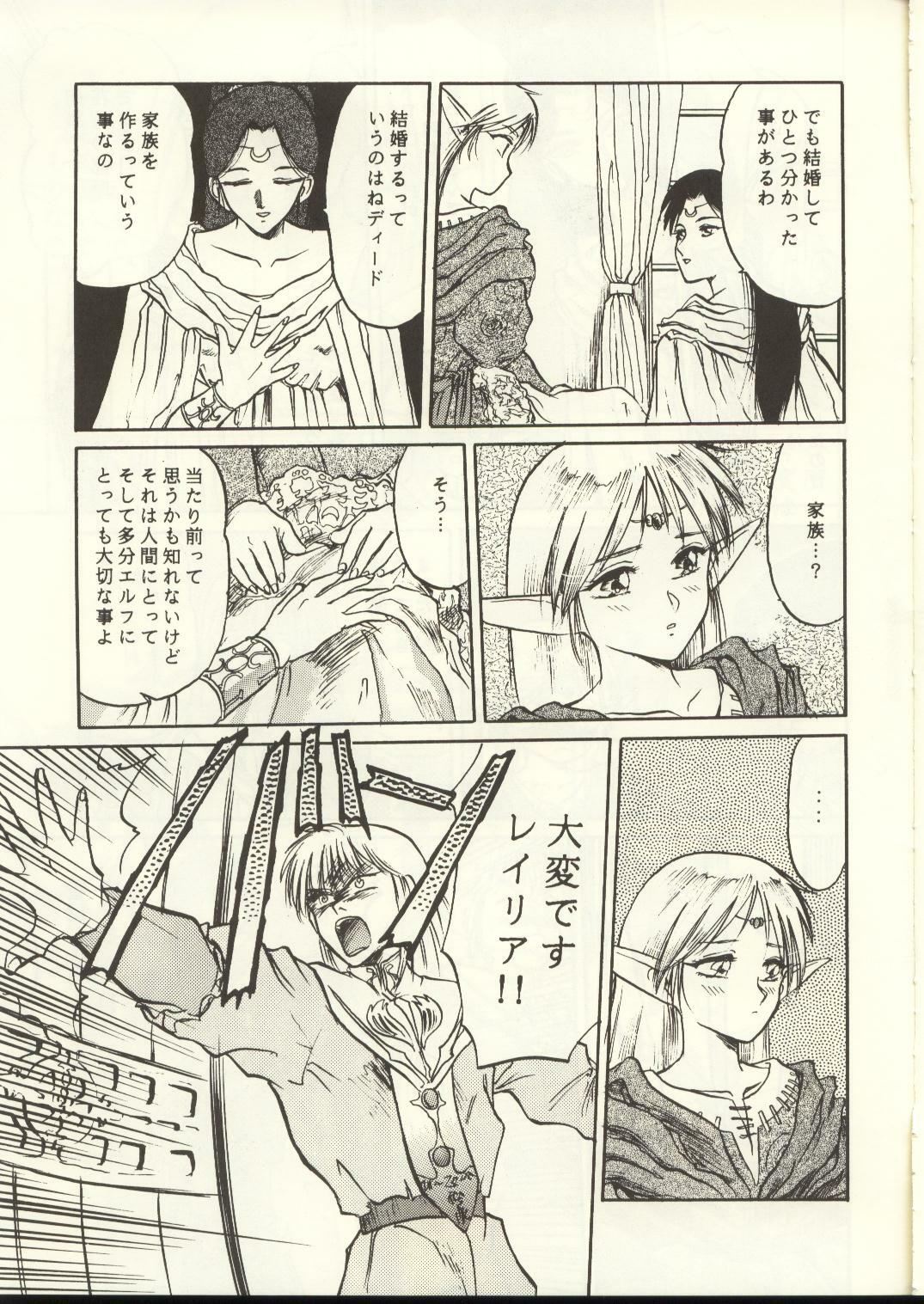 [Waku Waku Doubutsuen, Neko Apron (Various)] DIEDLIT 2 (Record of Lodoss War) page 66 full