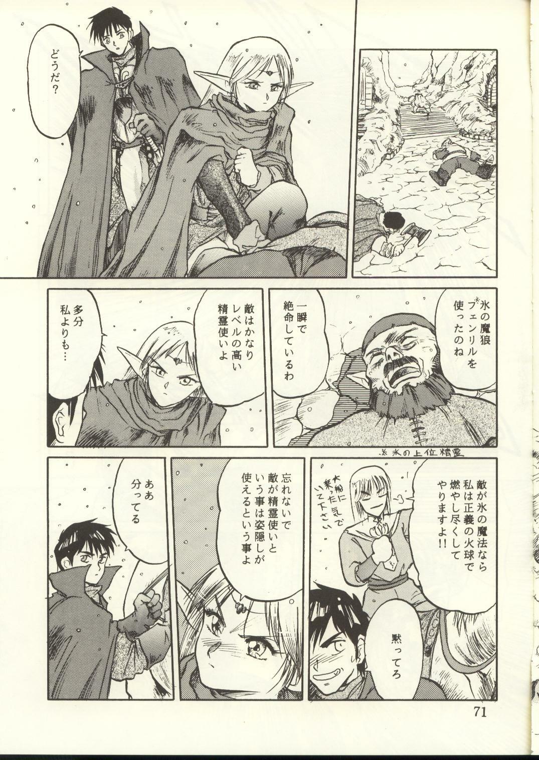 [Waku Waku Doubutsuen, Neko Apron (Various)] DIEDLIT 2 (Record of Lodoss War) page 70 full