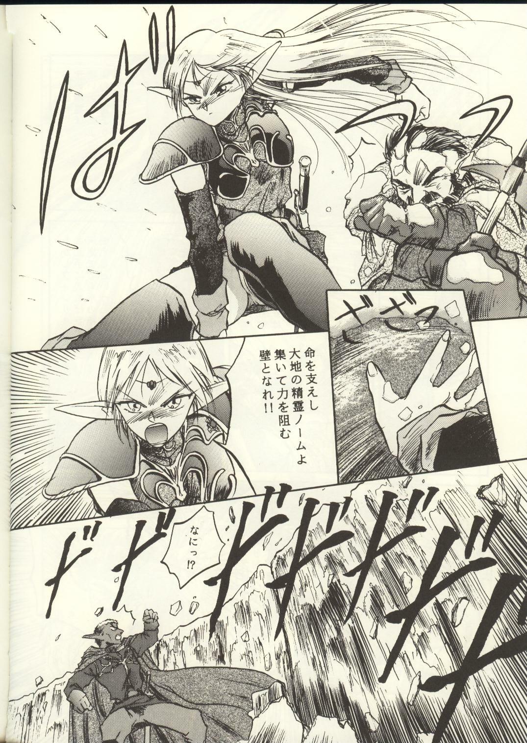 [Waku Waku Doubutsuen, Neko Apron (Various)] DIEDLIT 2 (Record of Lodoss War) page 73 full