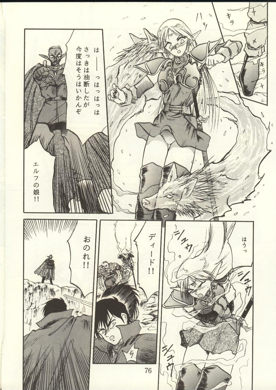 [Waku Waku Doubutsuen, Neko Apron (Various)] DIEDLIT 2 (Record of Lodoss War) page 75 full