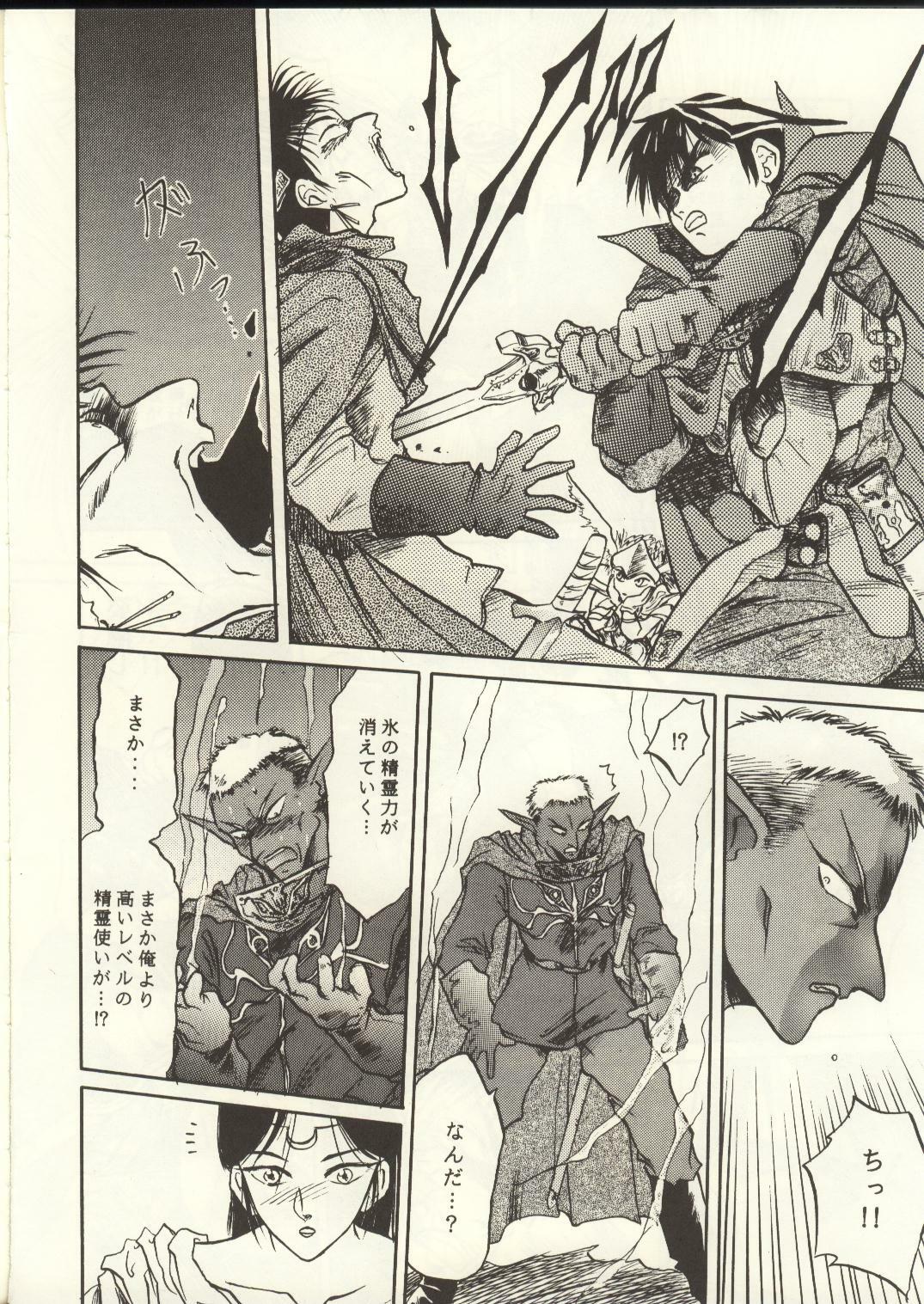 [Waku Waku Doubutsuen, Neko Apron (Various)] DIEDLIT 2 (Record of Lodoss War) page 81 full