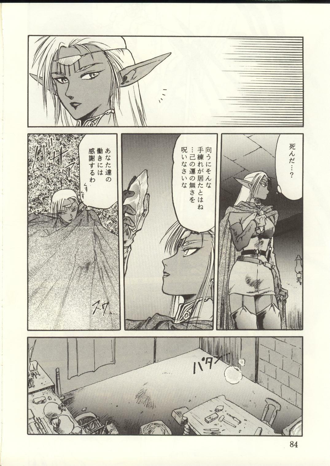 [Waku Waku Doubutsuen, Neko Apron (Various)] DIEDLIT 2 (Record of Lodoss War) page 83 full