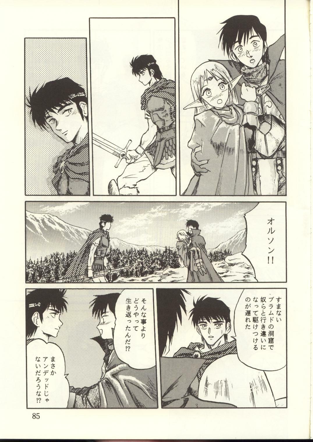 [Waku Waku Doubutsuen, Neko Apron (Various)] DIEDLIT 2 (Record of Lodoss War) page 84 full