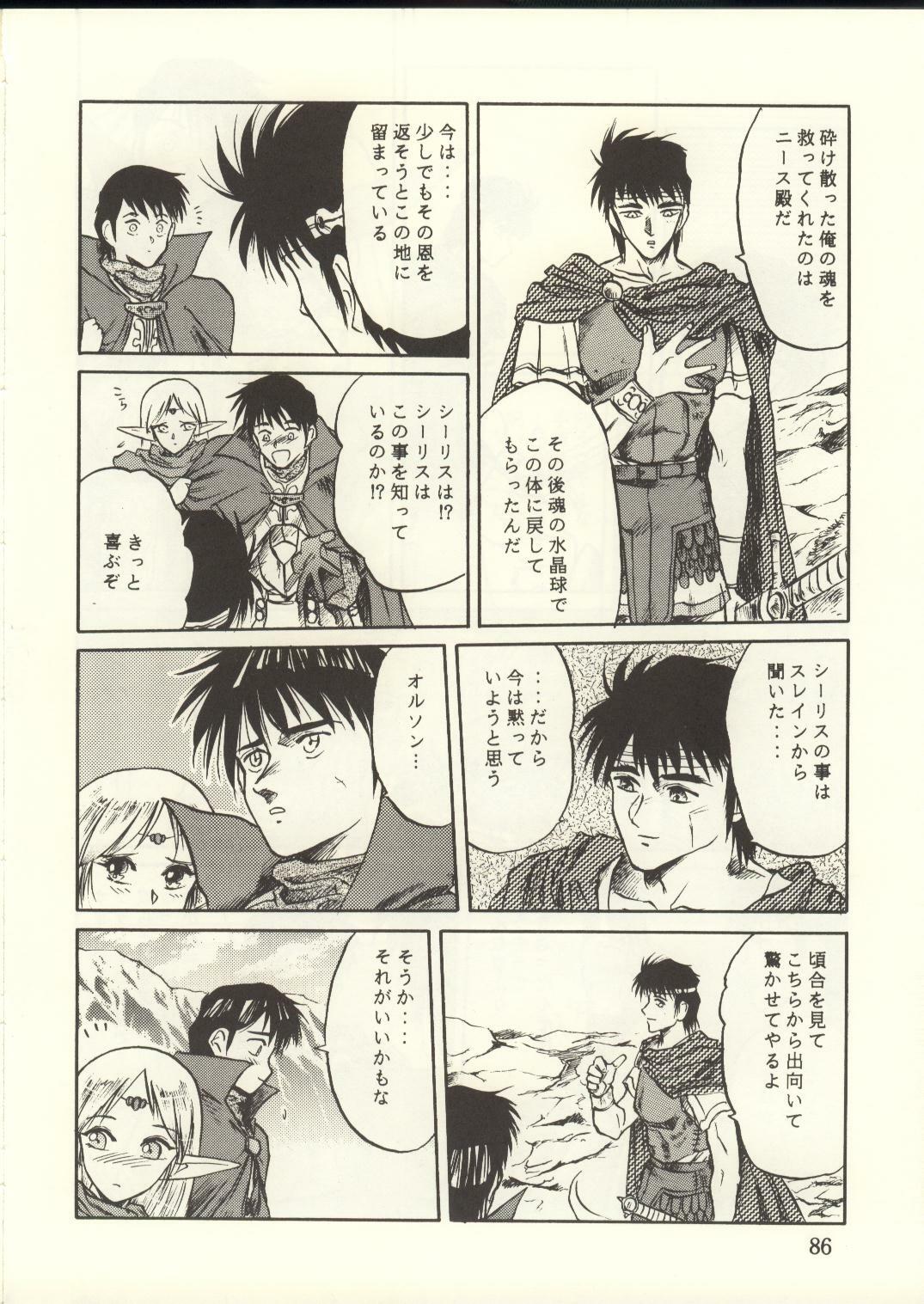 [Waku Waku Doubutsuen, Neko Apron (Various)] DIEDLIT 2 (Record of Lodoss War) page 85 full