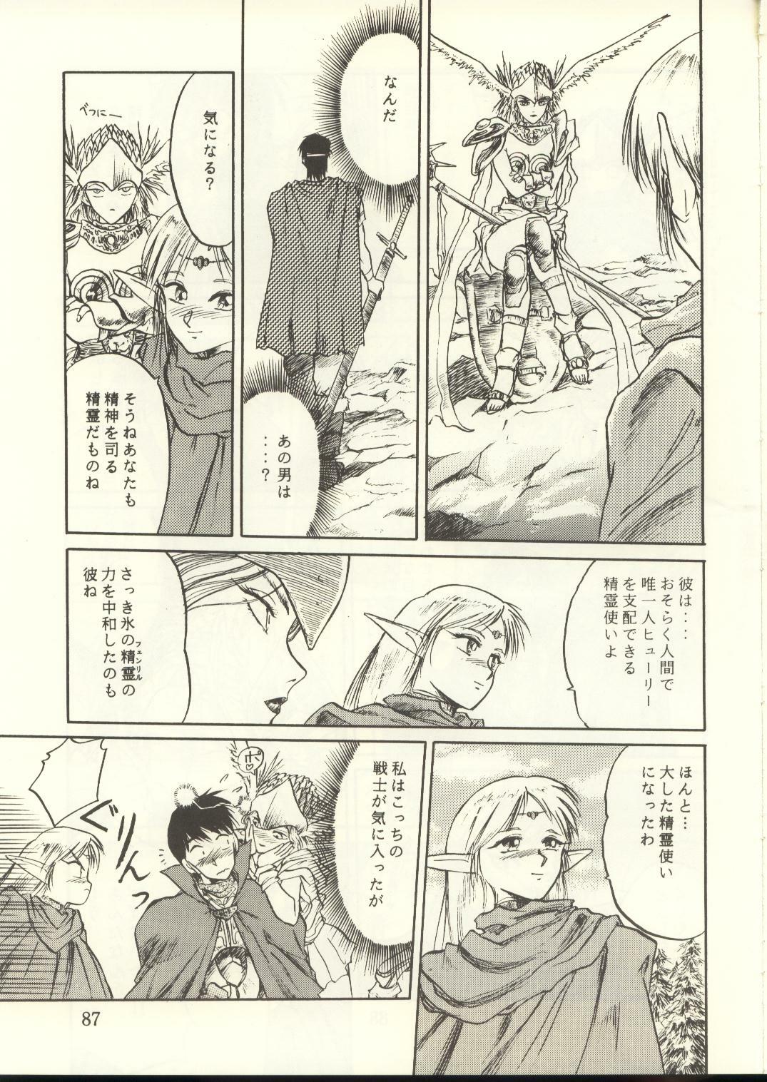 [Waku Waku Doubutsuen, Neko Apron (Various)] DIEDLIT 2 (Record of Lodoss War) page 86 full