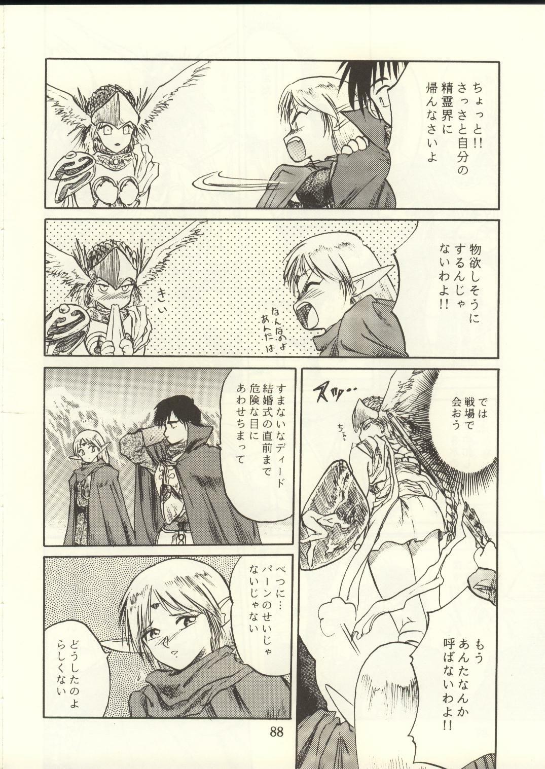 [Waku Waku Doubutsuen, Neko Apron (Various)] DIEDLIT 2 (Record of Lodoss War) page 87 full