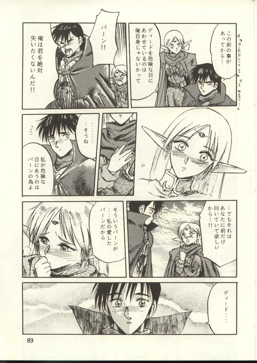 [Waku Waku Doubutsuen, Neko Apron (Various)] DIEDLIT 2 (Record of Lodoss War) page 88 full