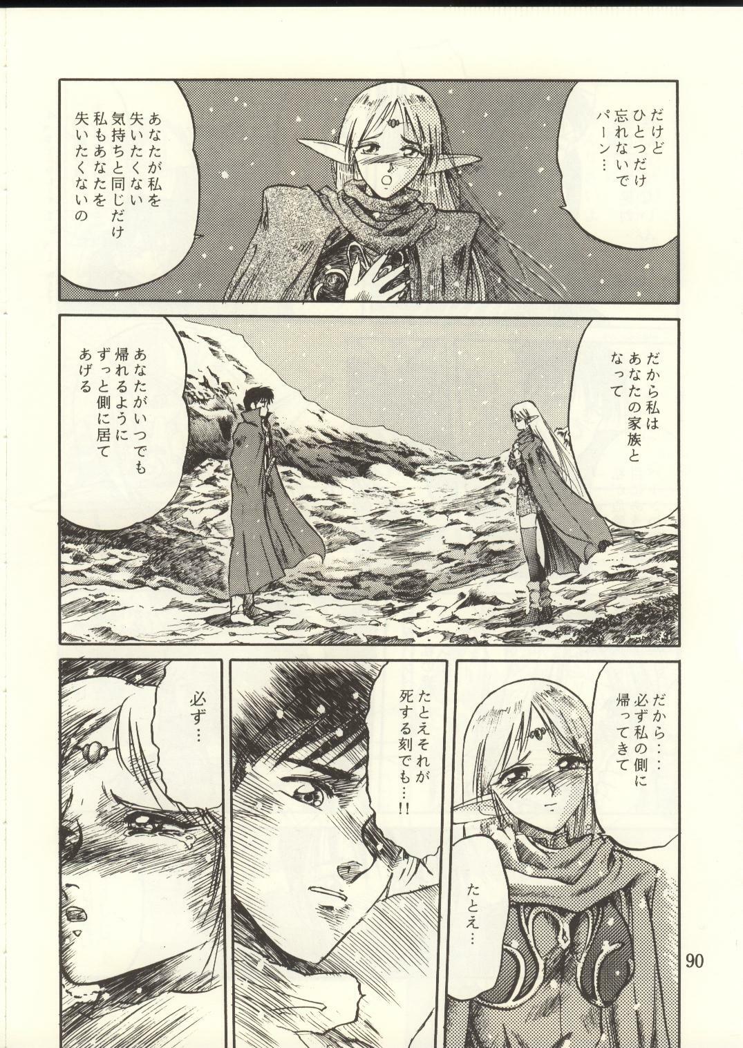 [Waku Waku Doubutsuen, Neko Apron (Various)] DIEDLIT 2 (Record of Lodoss War) page 89 full