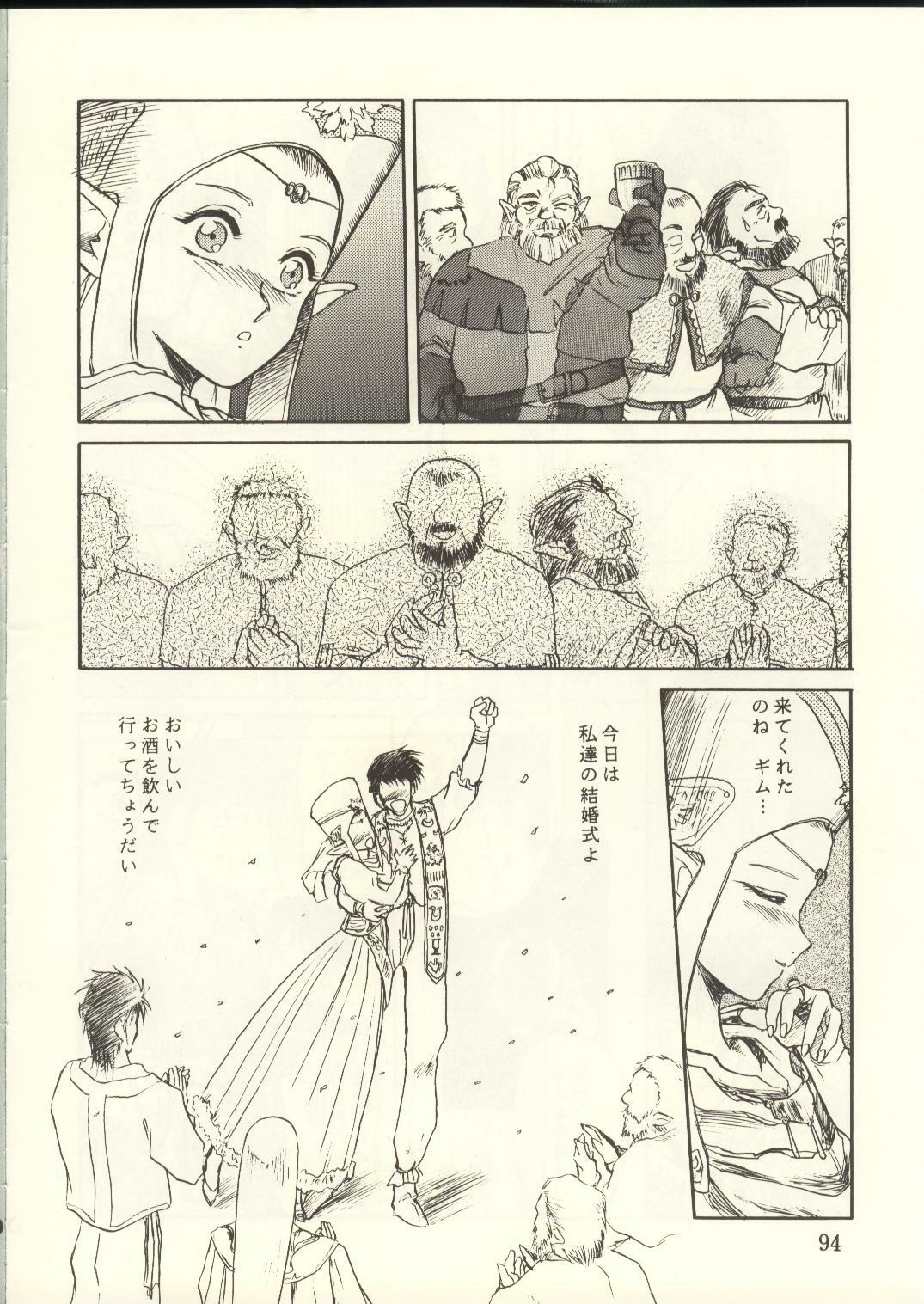 [Waku Waku Doubutsuen, Neko Apron (Various)] DIEDLIT 2 (Record of Lodoss War) page 93 full